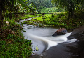 Hidden Gem Places in Chiangmai